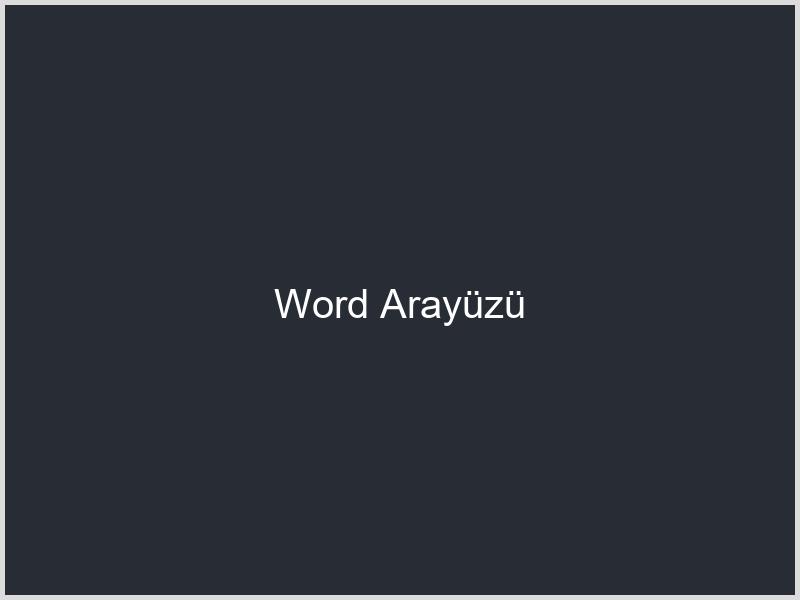 Word Arayüzü
