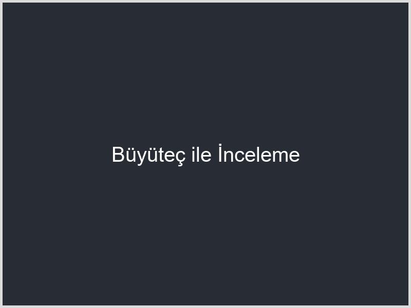 Büyüteç ile İnceleme