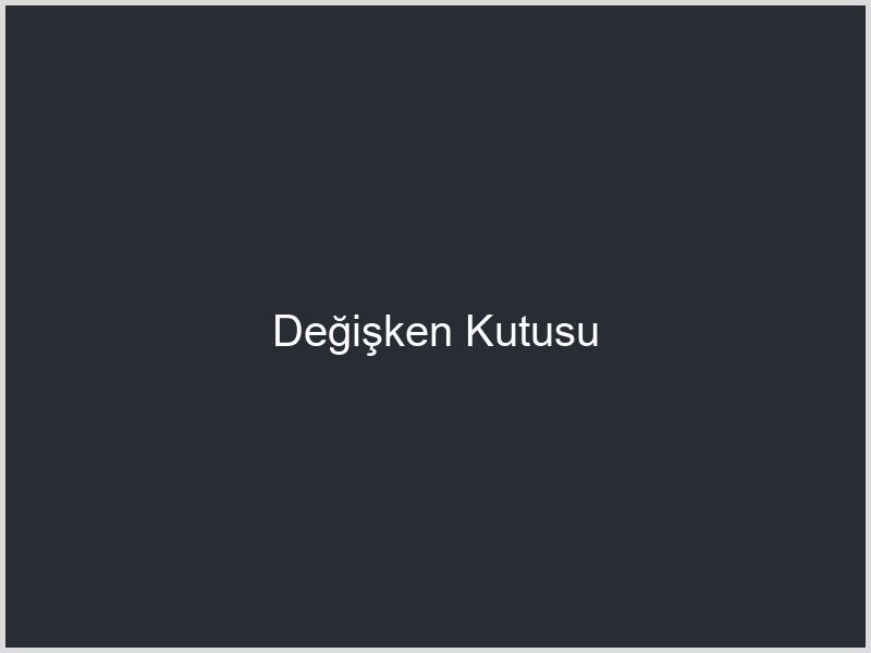 Değişken Kutusu