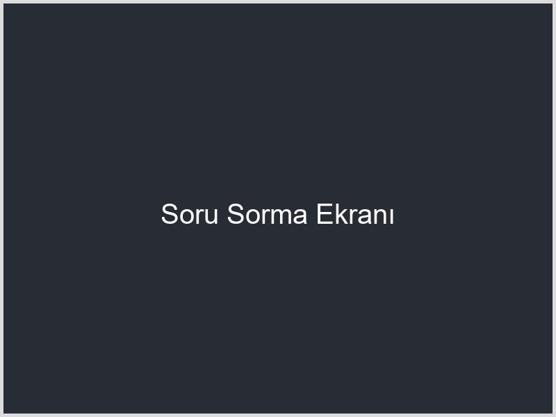 Soru Sorma Ekranı